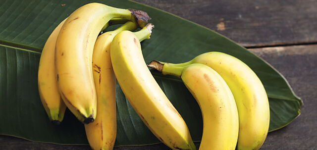 Mit Bananen kochen