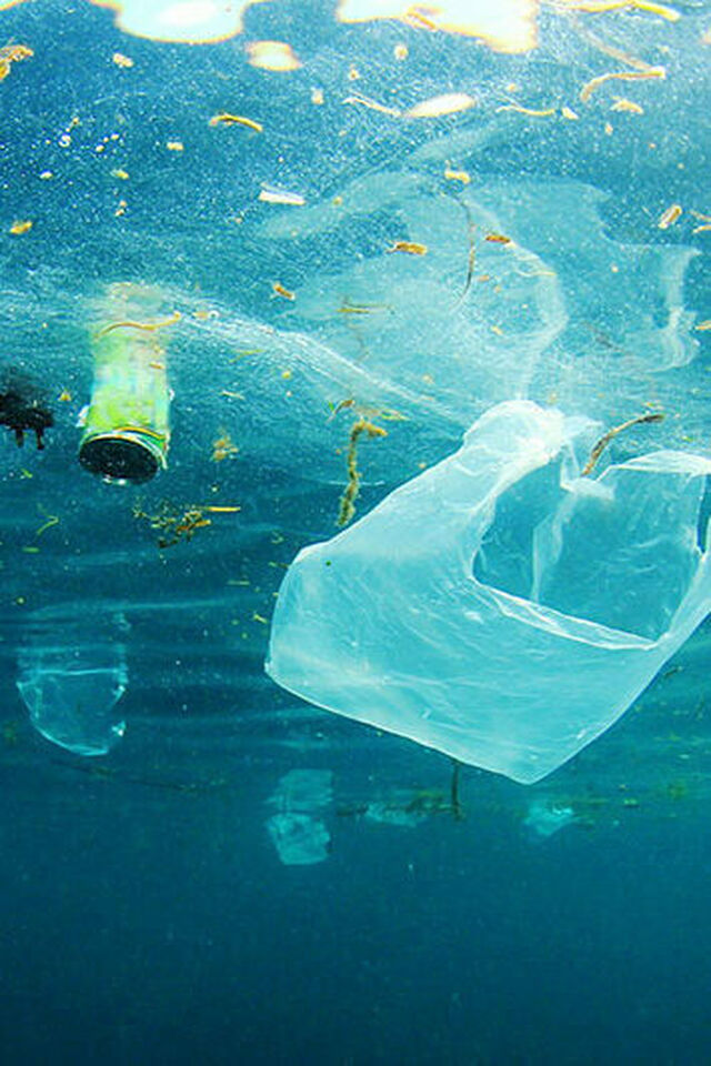 Plastiktüten und Plastikdosen schwimmen im Meer