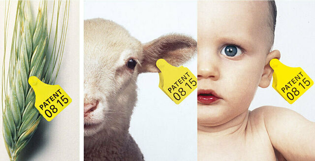 Getreide, Schaf und Mensch mit Ohrmarke auf der Patent 0815 steht