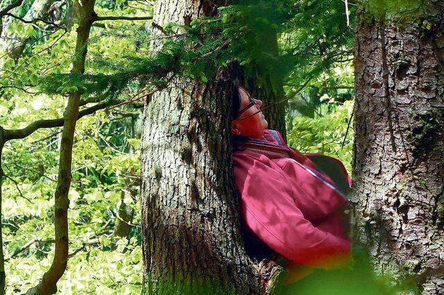 Waldbaden wirkt therapeutisch: Eine Frau sitzt auf einem Baum und lehnt sich zurück.