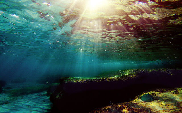 Unterwasseraufnahme: Sonnenstrahlen durchbrechen die Meeresoberfläche