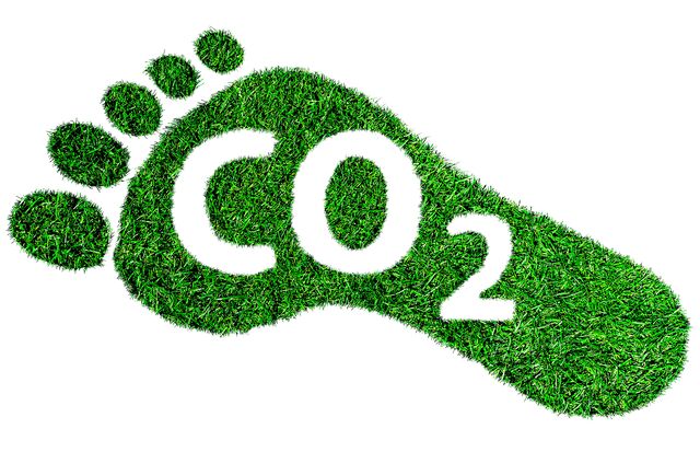 Grüner Fußabdruck mit CO2-Beschriftung