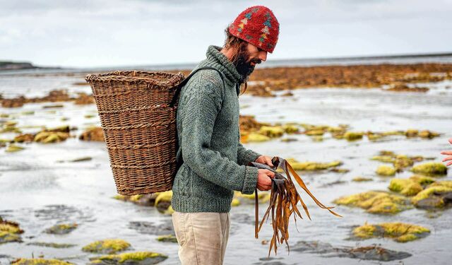 Mann sammelt Algen am Strand