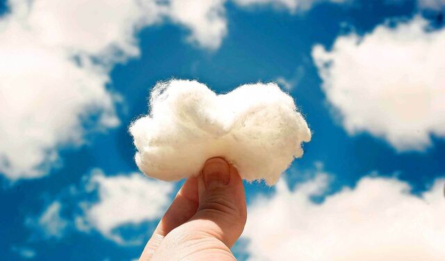 Ein Büschel Baumwolle vor blauem Himmel, das den weißen Wolken darn ähnelt.
