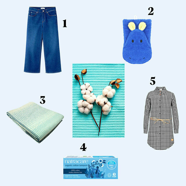 Jeans, Hemdkleid, Waschlappen, Wohndecke und Tampons aus Bio-Baumwolle rund um einen Baumwollzweig.n