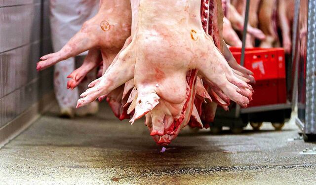 Schweinehälften aufgereiht am Haken
