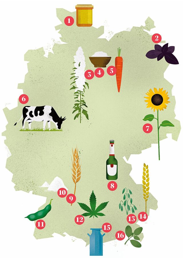 Deutschlandkarte zeigt Standorte regionaler Bio-Anbauprojekte